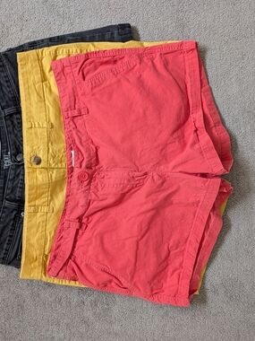 Lot of 3 size 16 shorts